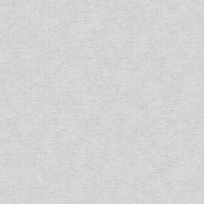 Обои Лайт фон 12860 (6)