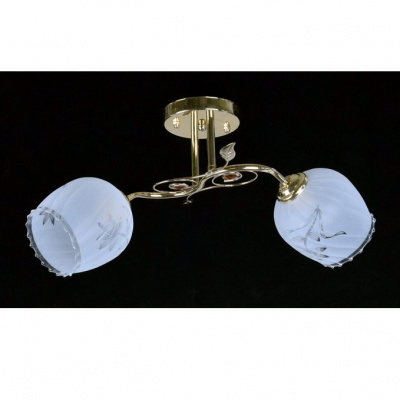 9190/2 FGD Е27 2х40W Cветильник потолочный (6)