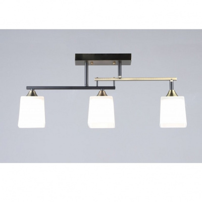 2325/3 AB+BK L590*W120*H250мм Светильник потолочный (6)