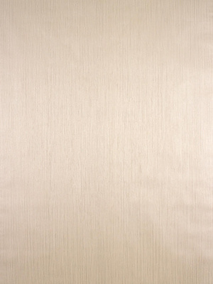 Обои CA100911 Style Decor "Канвас фон" (6)