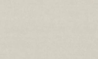 Обои 4259-2 Арт фон (6)