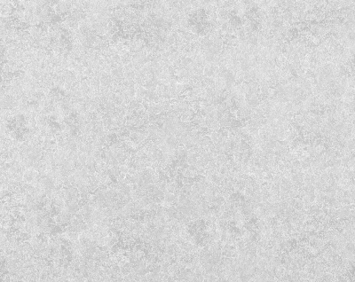 Обои Визит 2010-21 Ф6-10 (9) ЭОЮ