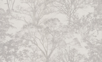 Обои 30258-12 (6) Аспект "Саванна"