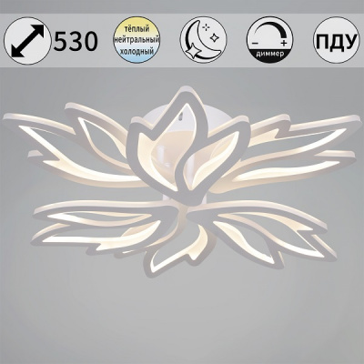 09862-0.3-3+3 WH 120W ПДУ Cветильник светодиодный (1)