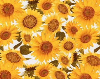 927/5 (ХП-ткань) Клеенка КОЛОРИТ 1,26-1,30*25м (25)