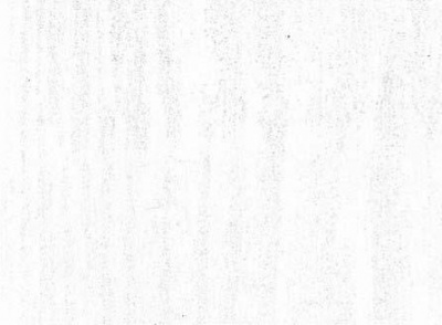 3009 Пленка самоклеящаяся 67,5смх8м  (белое дерево)