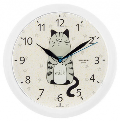 21210252 белый D245мм Часы настенные TROYKATIME
