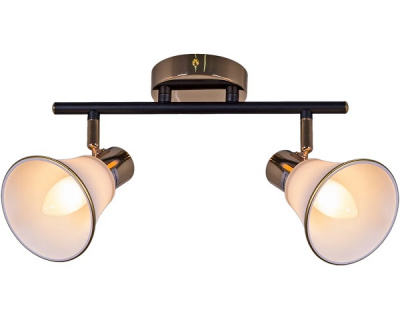 05901-0.8-02 BK+FGD E14 60W Cветильник потолочный (2) 