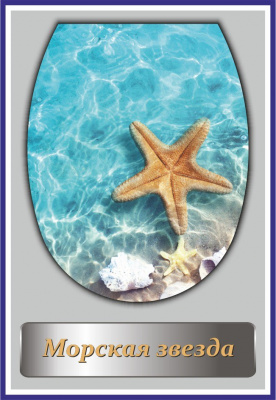 Сиденье для унитаза "Океан LUX" с детской накладкой Фотопринт "Морская-звезда" (1/10)
