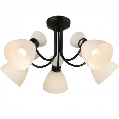 20135/5BK WT Е27 Светильник потолочный (1)