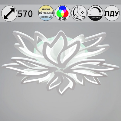 09862-0.3-4+4 WH (RGB) 167W ПДУ Cветильник светодиодный (1)