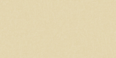 Обои 60410-08 Erismann Phantom (6)