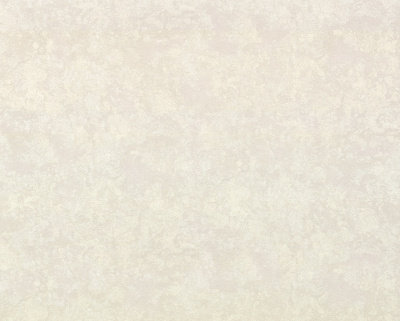 Обои Визит 2010-62 Ф6-10 (9) ЭОЮ