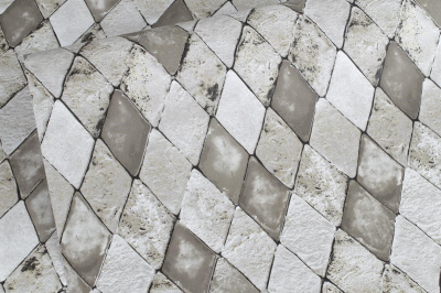 Обои Коломбина 889-02 (15) С3 гр.2