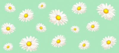 Штора для ванны Альфа-Стиль п/эт. Ромашки (зеленый) 180х180 (1/40)