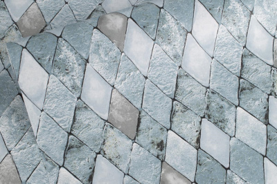 Обои Коломбина 889-01 (15) С3 гр.2