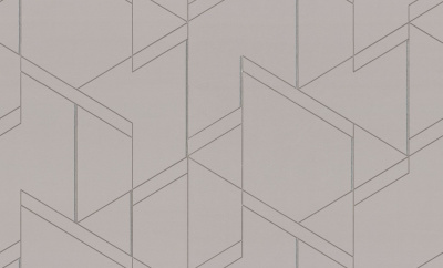 Обои FM72487-82 "Maks" (8) Family