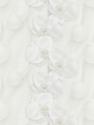 Обои 30277-11 Линесса (6) Аспект