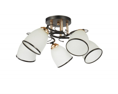 20138/5 BK+FGD E27 5х60W Светильник потолочный (4)