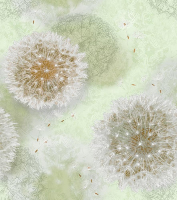 Обои Одуванчики 828-04 (15) С14 гр.3