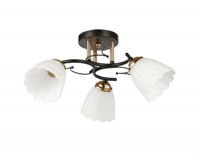 20139/3 BK+FGD E27 3х60W Светильник потолочный (4)