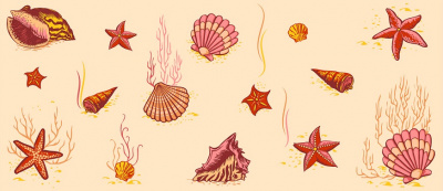 Штора для ванны Альфа-Стиль п/эт. Ракушки (бежевый) 180х180 (1/40)