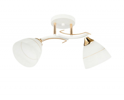 13215/2WT FGD WT_4 Е27 40W Светильник потолочный (4)