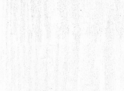 3009 Пленка самоклеящаяся 45смх8м (белое дерево)