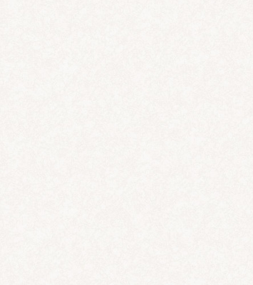 Обои Ника фон 1030-00 (12) С6 гр.2