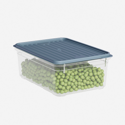 Лоток с крышкой DDStyle прямоуголный 1,6л (921) (24) Лоток с крышкой DDStyle прямоуголный 1,6л (921) (24)