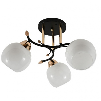 10089/3BK+FGD WT E27 60W Светильник потолочный (1)