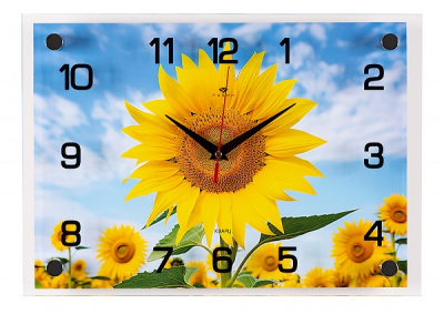 2535-305 Часы настенные "Подсолнух в облаках" Рубин