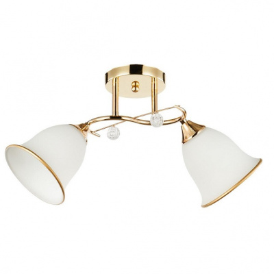 13210/2FGD WT_2 Е27 40W Светильник потолочный (2)