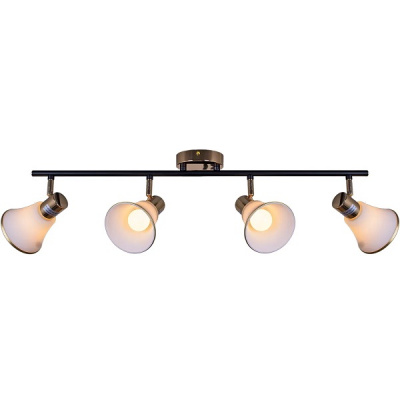 05901-0.8-04 BK+FGD E14 60W Светильник потолочный (1/4)