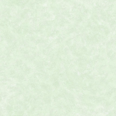 Обои Одуванчики фон 829-04 (15) С14 гр.2