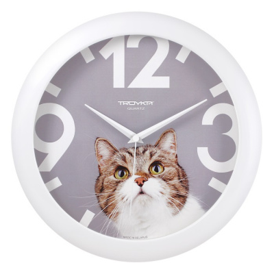 11110193 белый D290мм Часы настенные TROYKATIME