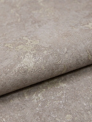 Обои 8976-16 "LARDINI" (6) Индустрия