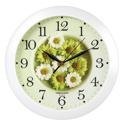 11110171 белый D290мм Часы настенные TROYKATIME