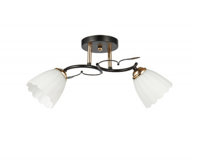 20139/2 BK+FGD E27 2х60W Светильник потолочный (4)