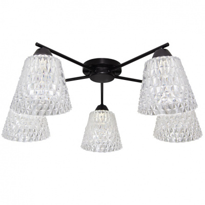 1630/5 Черный Е27 Светильник потолочный (1) 21 Век