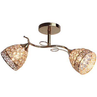 03173-0.3-02 FGD E27 2х60W Светильник потолочный (2) 03173-0.3-02 FGD E27 2х60W Светильник потолочный (2)