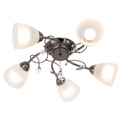 53471/5 AN WT Светильник потолочный (4)