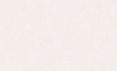 Обои 8991-02 "BELGOROD" (6) Индустрия