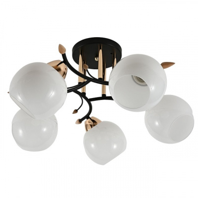 10089/5BK+FGD WT E27 60W Светильник потолочный (1)