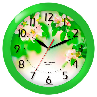 11121186 салатовый D290мм Часы настенные TROYKATIME