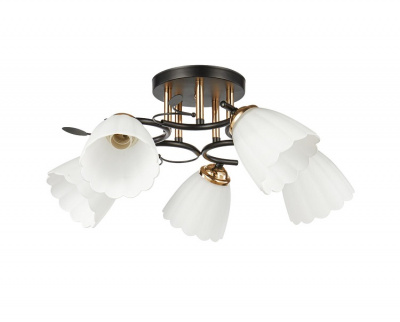 20139/5 BK+FGD E27 5х60W Светильник потолочный (4)