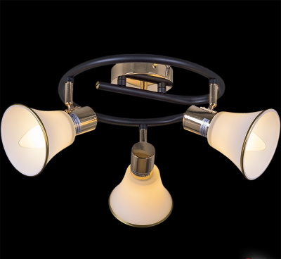 05901-0.8-03A BK+FGD E14 60W Cветильник потолочный (2) 