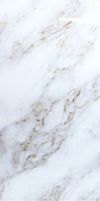 Панель композитная SPC 2,5мм (600х1200) "Миони" (4)