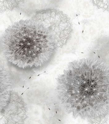 Обои Одуванчики 828-06 (15) С14 гр.3