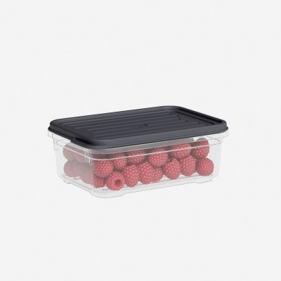 Лоток с крышкой DDStyle прямоуголный 0,5л (910) (24) Лоток с крышкой DDStyle прямоуголный 0,5л (910) (24)